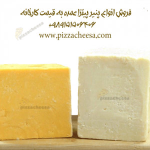 قیمت پنیر پیتزا