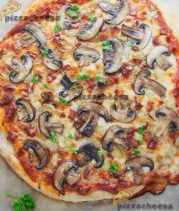 پنیر پیتزا ارزان