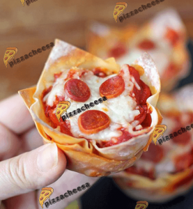 بهترین پنیر پیتزا