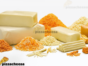 عمده فروشی پنیر پیتزا