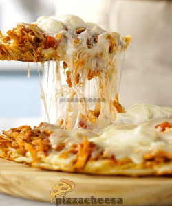 خرید پنیر پیتزا ۲ کیلویی