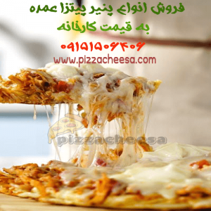 قیمت پنیر پیتزا بسته ای
