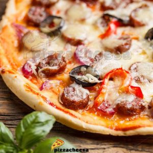 پنیر پیتزا جدید