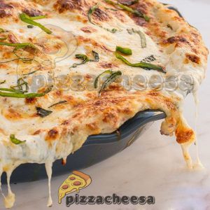 پنیر پیتزا ۴۵۰ گرمی