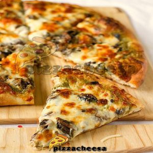 نمایندگی پنیر پیتزا در تهران