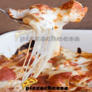 قیمت پنیر پیتزا بسته بندی