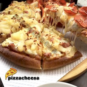 پنیر پیتزا پروسس