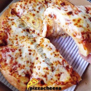 پخش عمده پنیر پیتزا