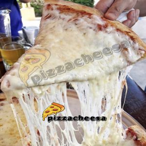 قیمت پنیر پیتزا