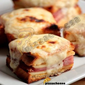 پنیر پیتزا قیمت