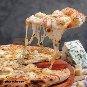 فروش پنیر پیتزا پروسس