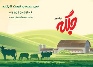 قیمت پنیر پیتزا جلگه