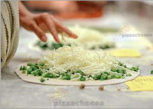 قیمت فروش پنیر پیتزا